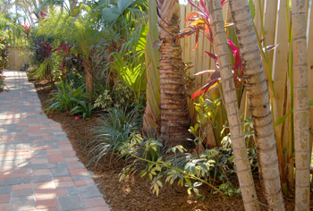 plant installation landscape design fort lauderdale